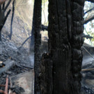 DSCN3978.JPG