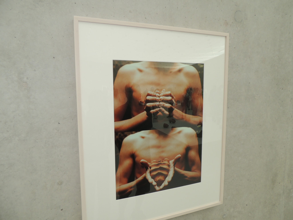 DSCN2627_JPG-1378209357