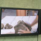 DSCN2998-001_JPG-1378209314