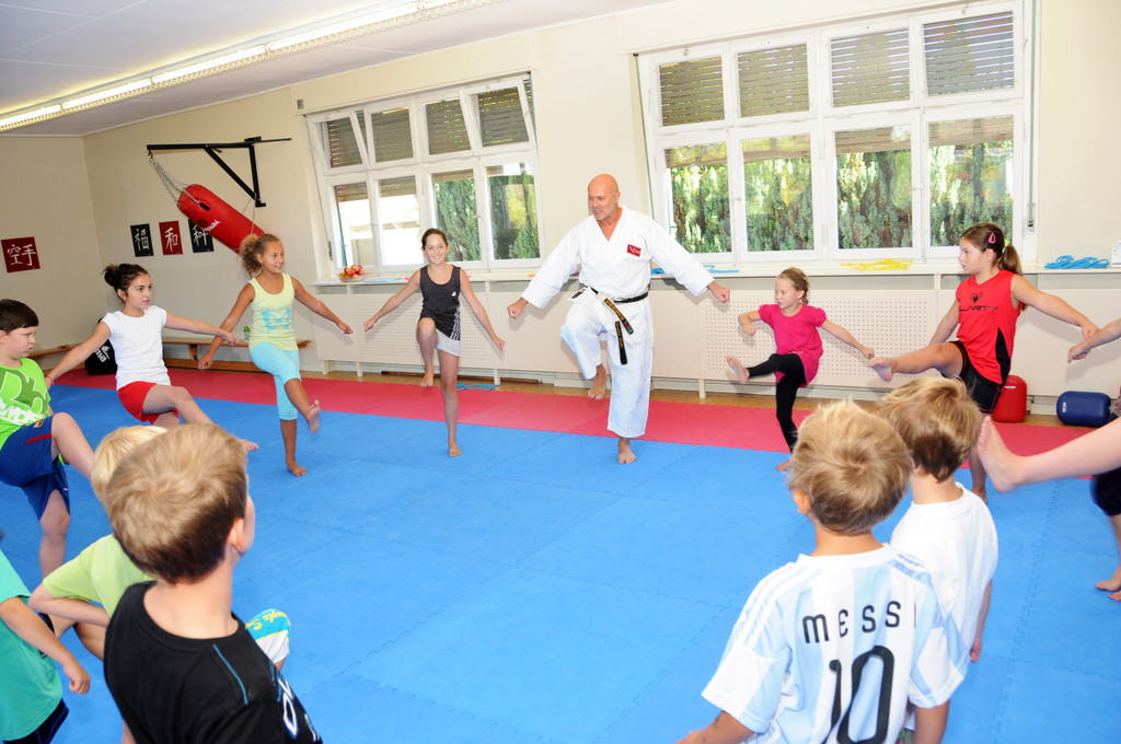 Karate 03-09-2013 15_jpg-1378220779