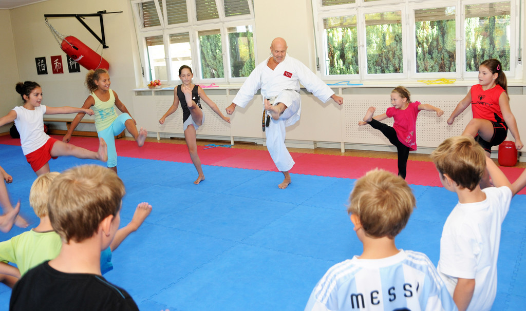 Karate 03-09-2013 16_jpg-1378220785