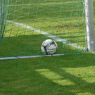 FC_EGG_0088_JPG-1378276891