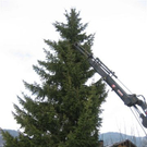 IMG_4241_JPG-1268590067