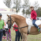 "Festival der Tiere" auf der Wiener Donauinsel