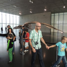 DSCN2844-001_JPG-1378287745