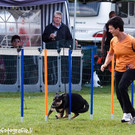 Agility Landesmeisterschaft 2013