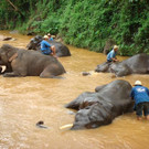 Thailand_001.jpg