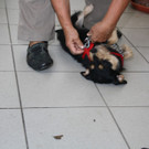 IMG_4249.JPG