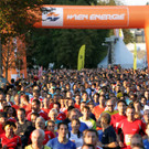 0003start.jpg