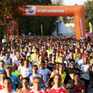 0008start.jpg