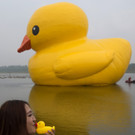 718c00f6abce4ceb92a2c94b5ec64181-718c00f6abce4ceb92a2c94b5ec64181-0.jpg