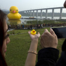 d7be53f091a24923b5a46caddba8ed6e-d7be53f091a24923b5a46caddba8ed6e-0.jpg