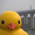 bcc0ae9ddc23411c936d6d74fae4c2fa-bcc0ae9ddc23411c936d6d74fae4c2fa-0.jpg