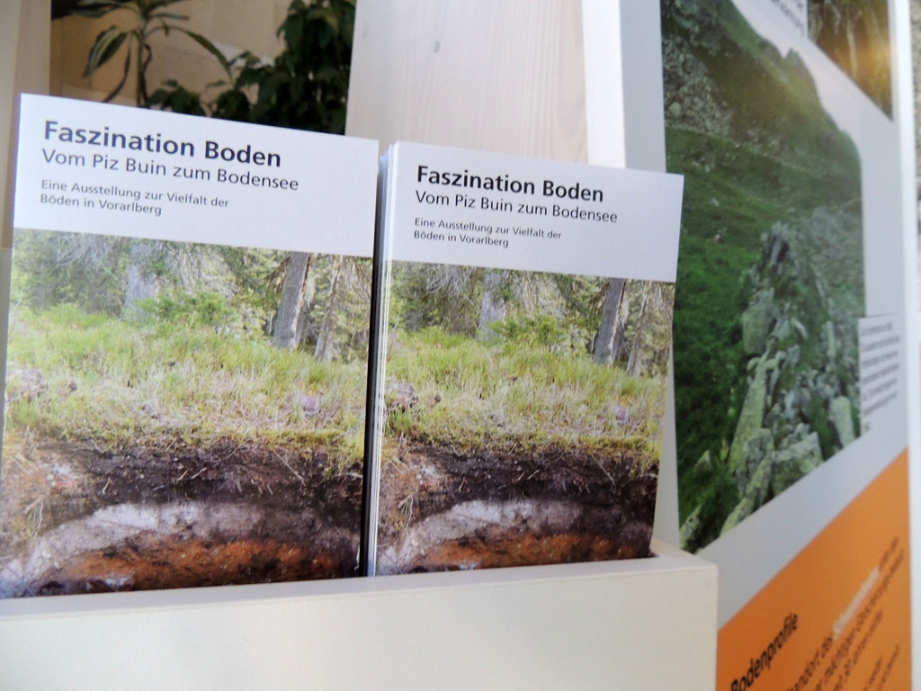 DSCN3364_JPG-1378498688