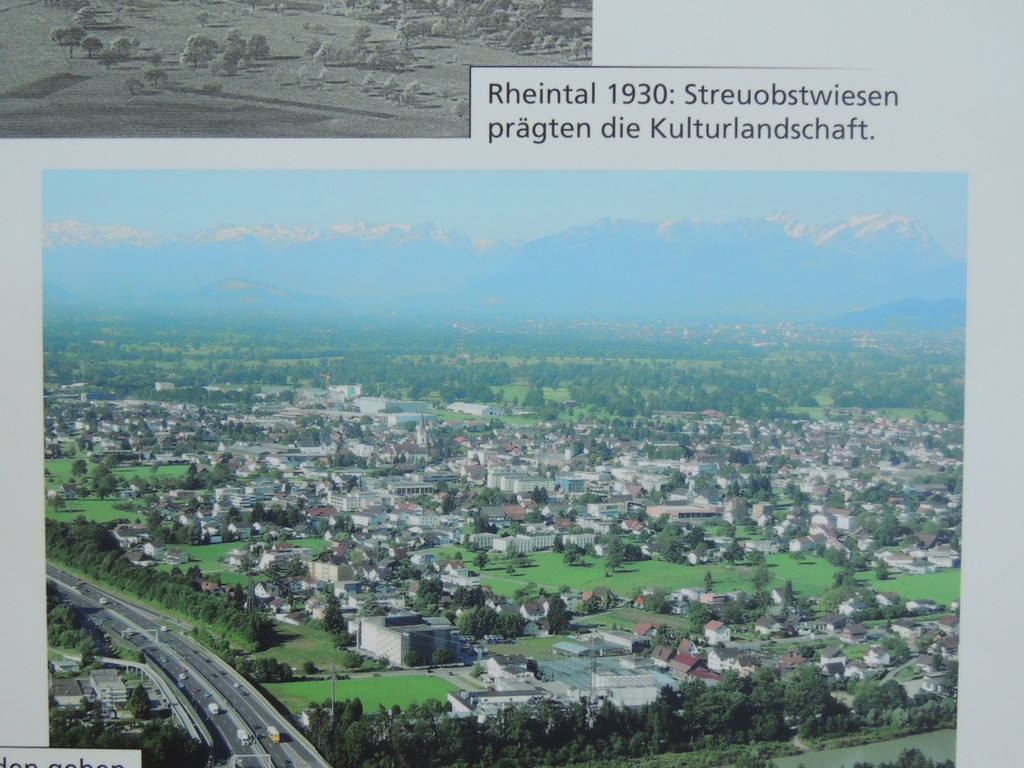 DSCN3351_JPG-1378498662