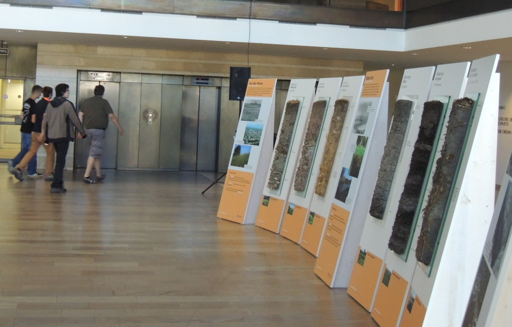 DSCN3345_JPG-1378498650