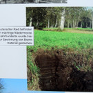 DSCN3355_JPG-1378498673