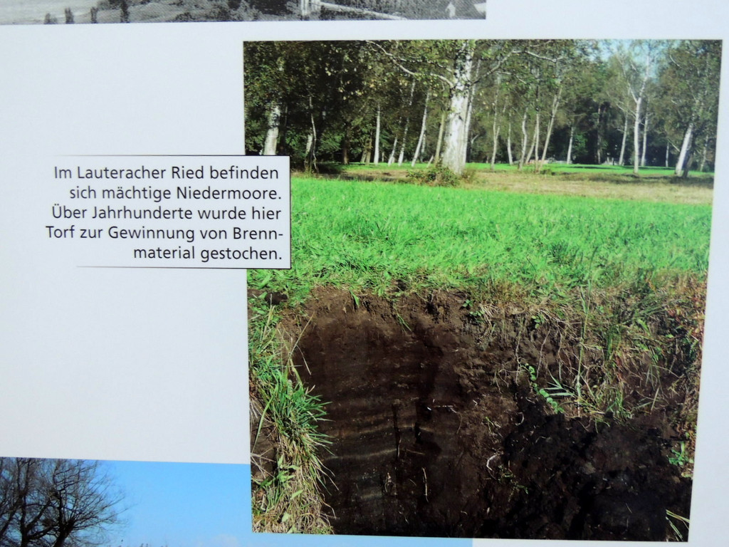 DSCN3355_JPG-1378498673