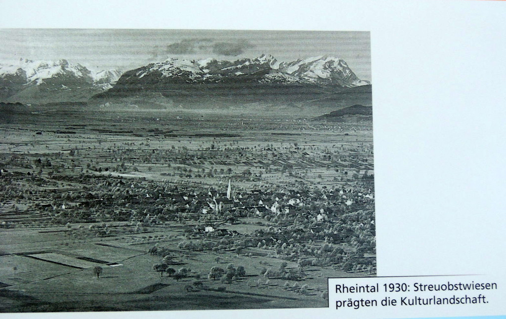 DSCN3354_JPG-1378498670