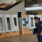 DSCN3346_JPG-1378498654