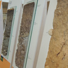 DSCN3350_JPG-1378498658