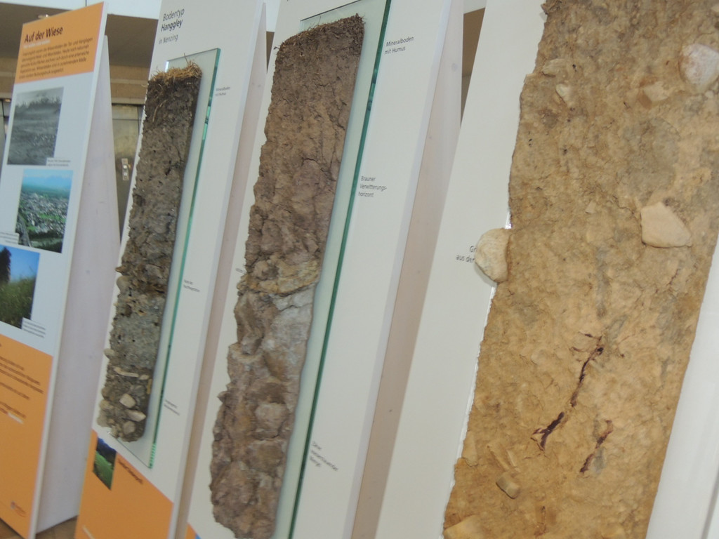 DSCN3350_JPG-1378498658