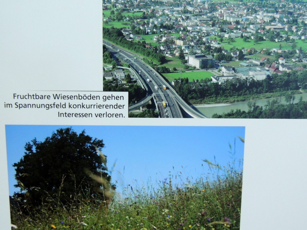 DSCN3353_JPG-1378498666