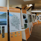 DSCN3363_JPG-1378498685