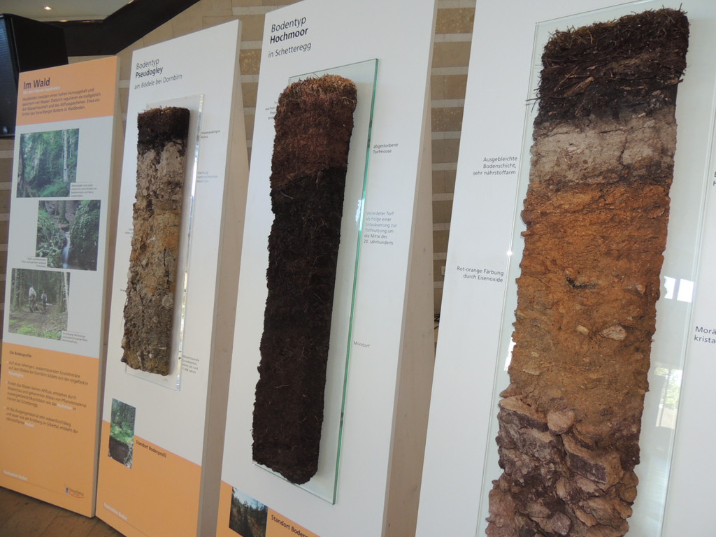 DSCN3373_JPG-1378498693