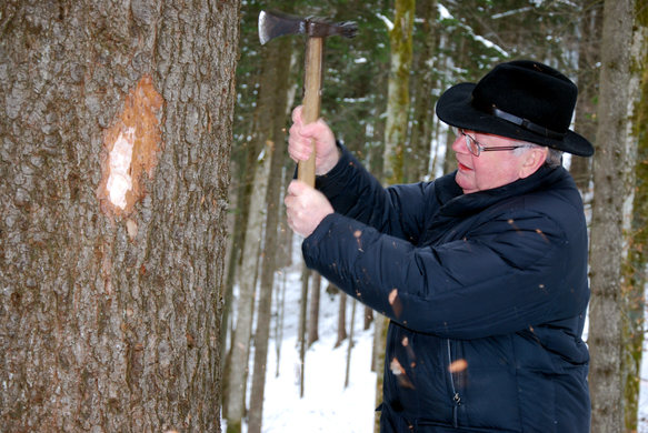 DSC_0010_JPG-1268604731