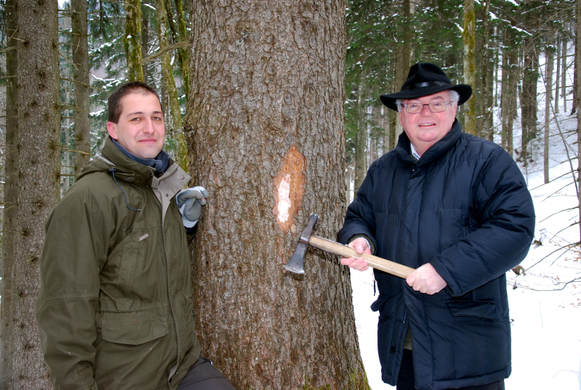 DSC_0016_JPG-1268604756