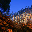 d06iXIII046.jpg