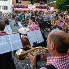 Alpabtrieb in Mellau 2013