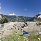 3680scr_ceb6d115fec25d0.jpg