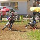 P9080042_JPG-1378554357