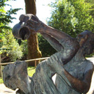 DSC06357.jpg