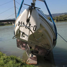 ABD0113-20130907.jpg