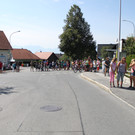 alpabfahrt _33__jpg-1378629871