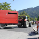 alpabfahrt _39__jpg-1378629929
