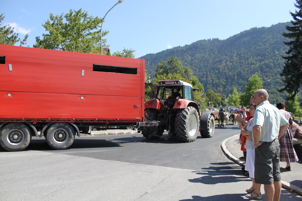 alpabfahrt _39__jpg-1378629929