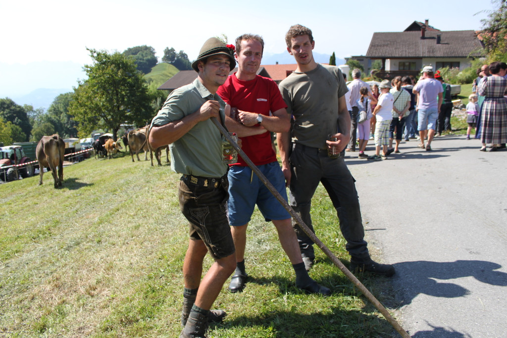 alpabfahrt _42__jpg-1378629952