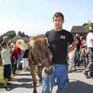 alpabfahrt _44__jpg-1378629967