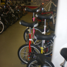 CIMG0342.JPG