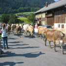 IMG_1552_JPG-1378636347
