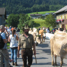 IMG_1553_JPG-1378636381