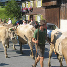 IMG_1554_JPG-1378636420