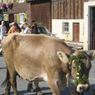 IMG_1556_JPG-1378636494