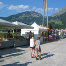 IMG_1559_JPG-1378636608