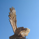 IMG_1562_JPG-1378636693