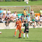IMG_1446_JPG-1378643134